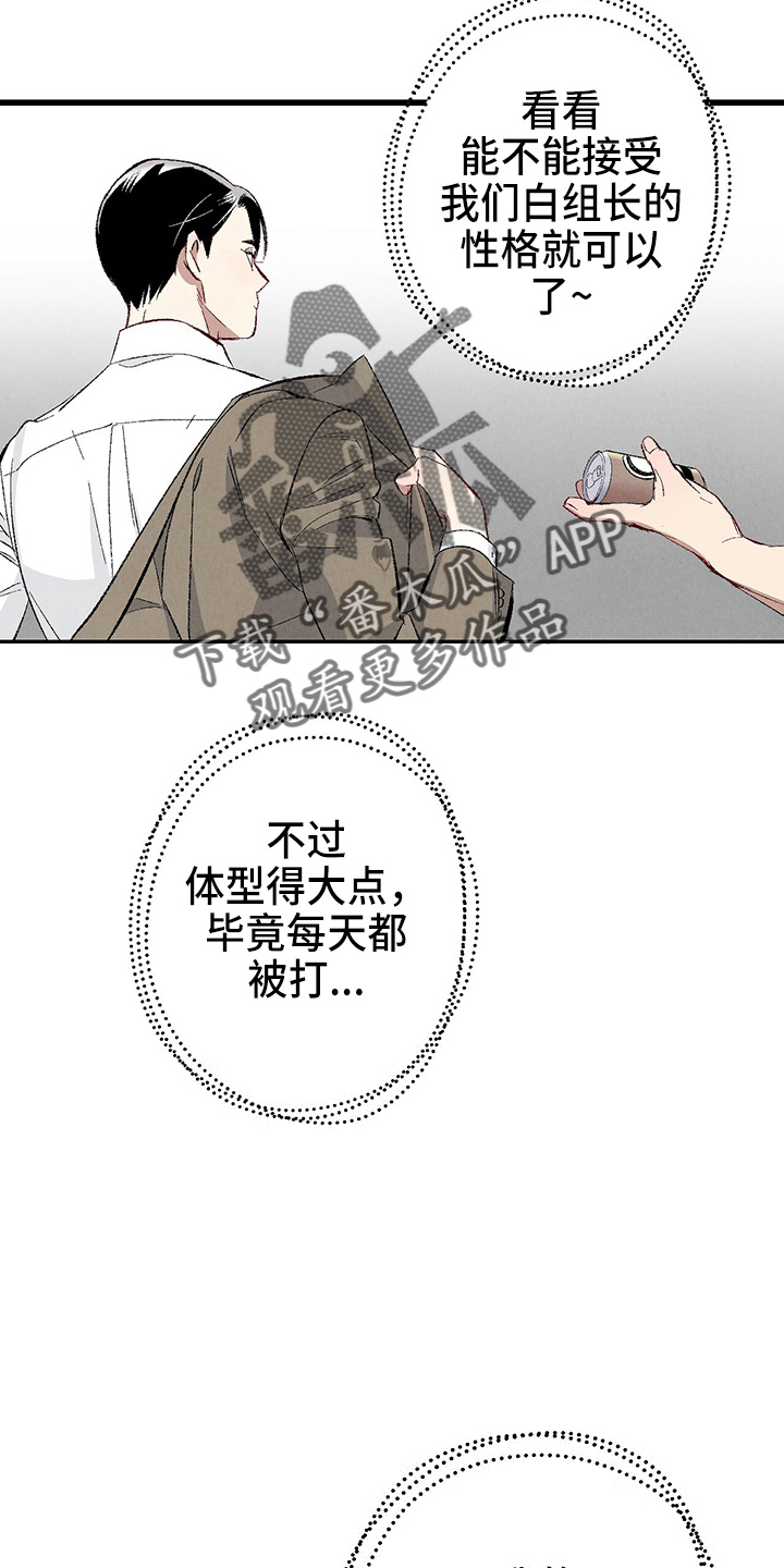 完美伴侣漫画,第96章：【第二季】吓到4图