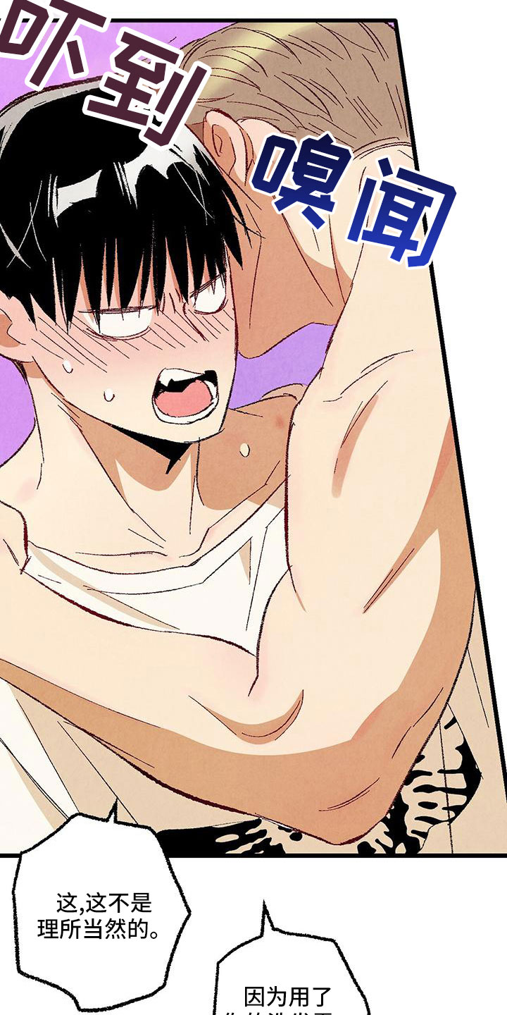 完美伴侣漫画,第102章：【第二季】诱人5图
