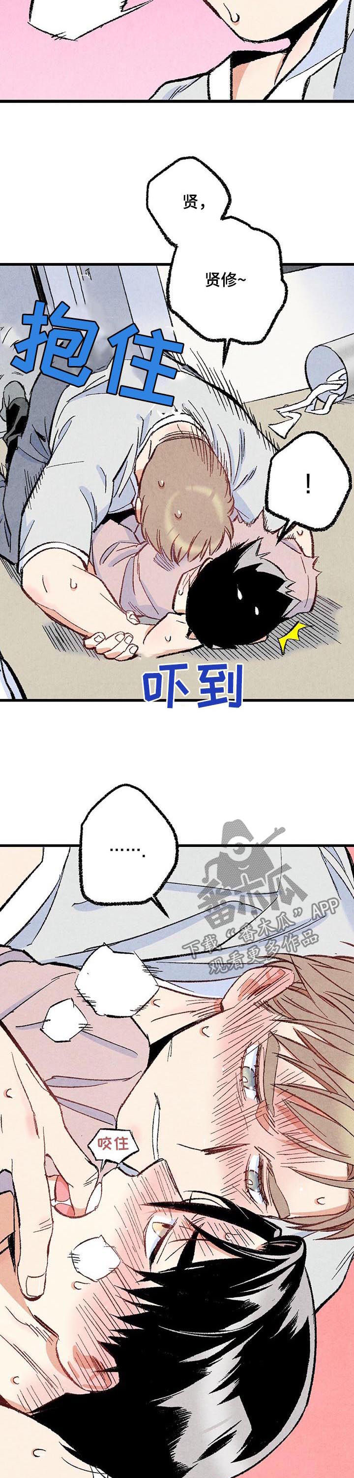 完美伴侣漫画,第47章：就地正法5图