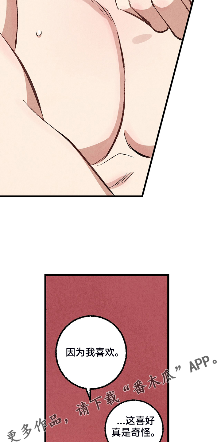 完美伴侣漫画,第74章：【第二季】奇怪的喜好2图