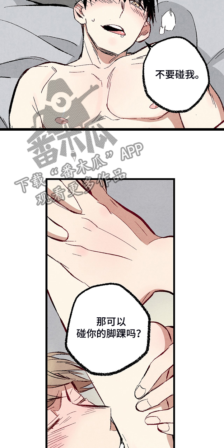 完美伴侣漫画,第74章：【第二季】奇怪的喜好5图