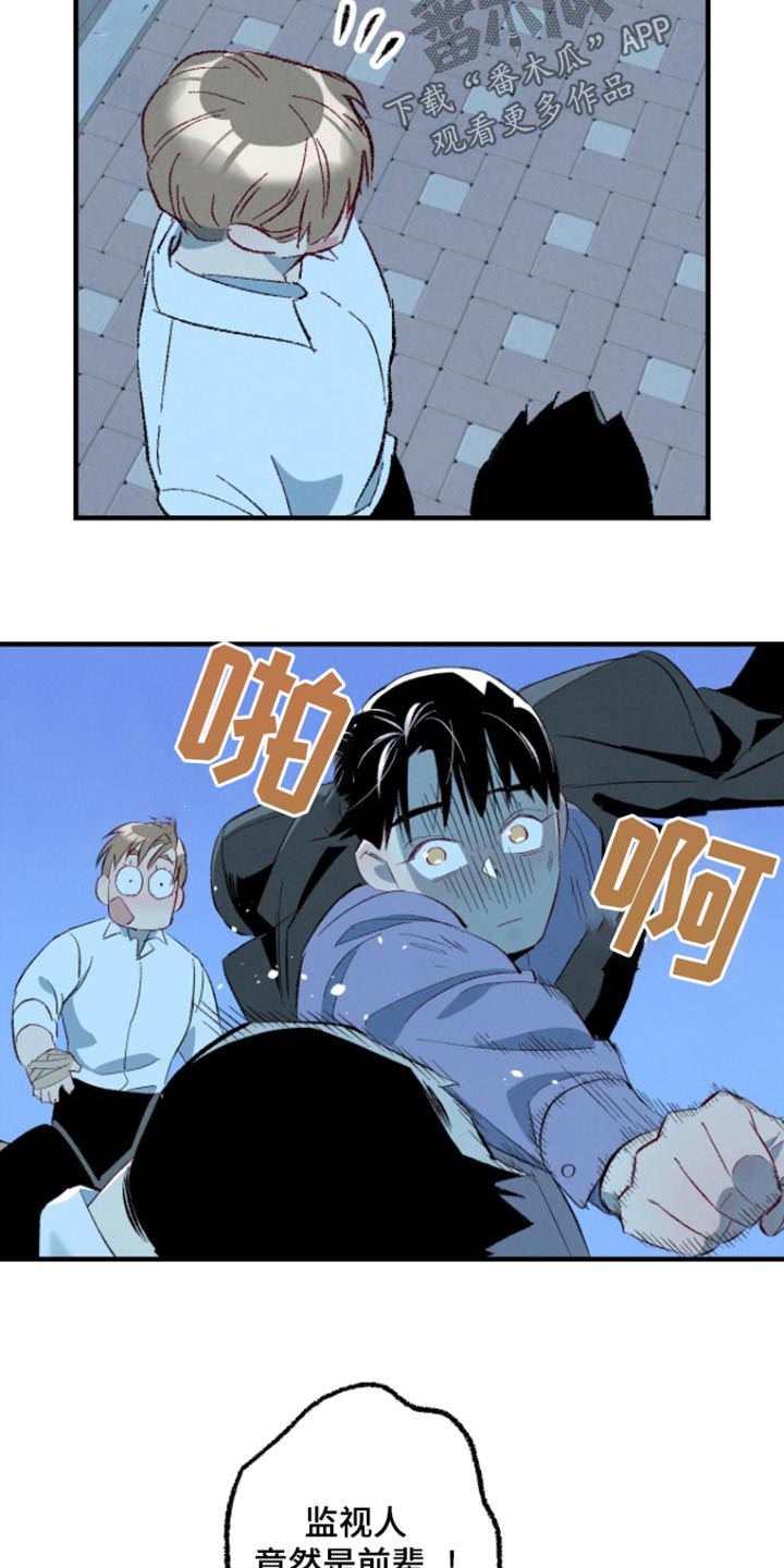完美伴侣漫画,第164章：【第二季】冷静一点2图