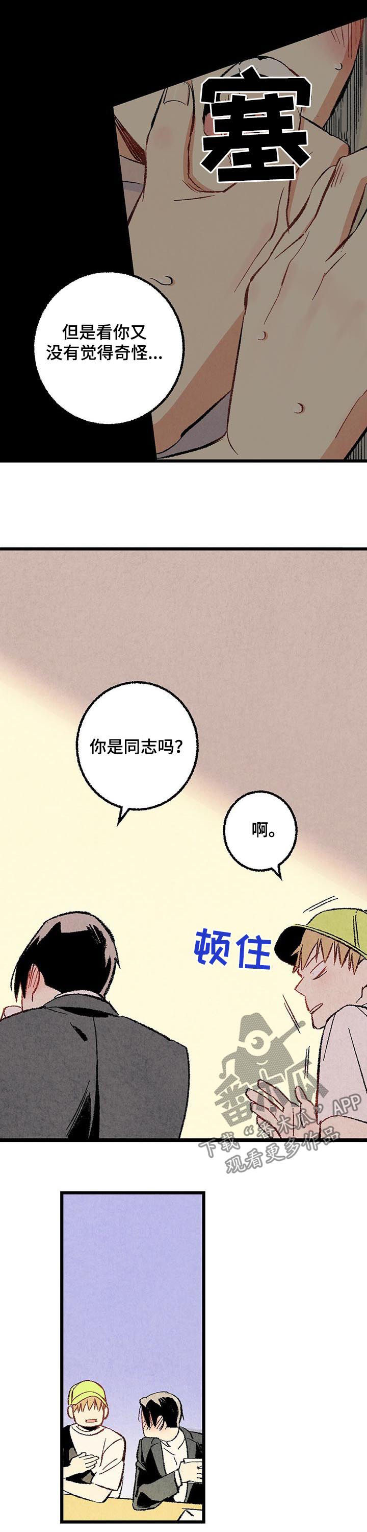 完美伴侣漫画,第51章：他是直的！3图