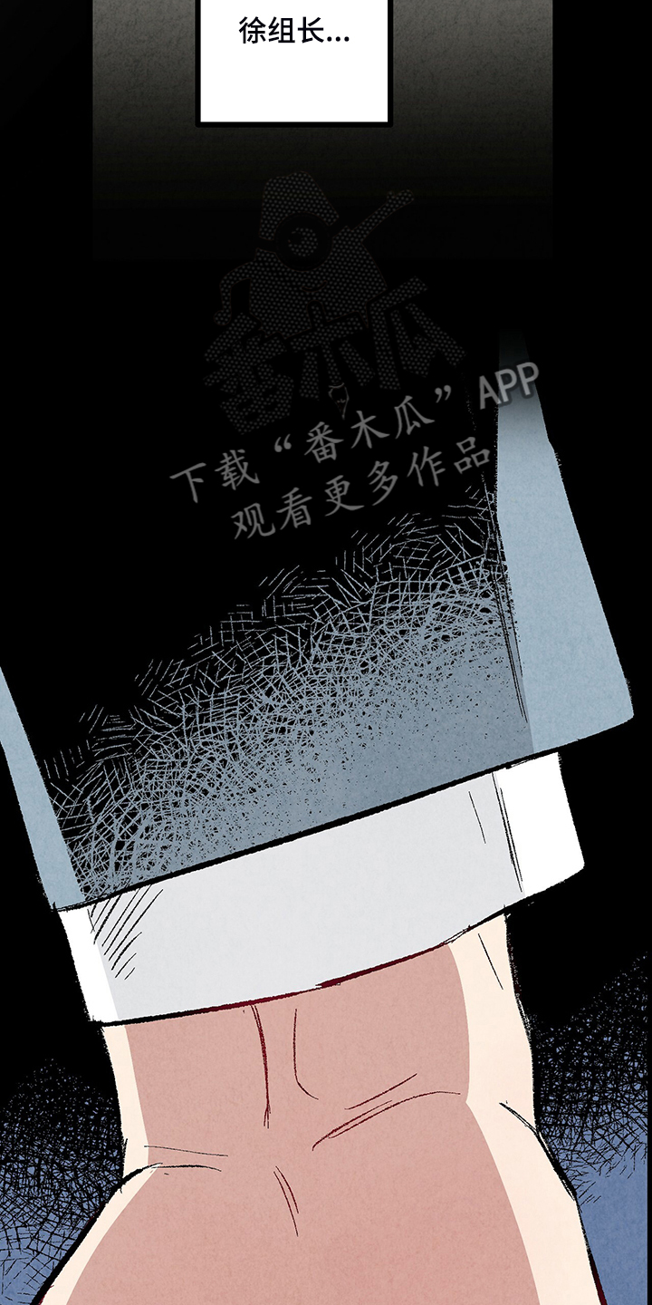 完美伴侣漫画,第81章：【第二季】不一般的病毒4图
