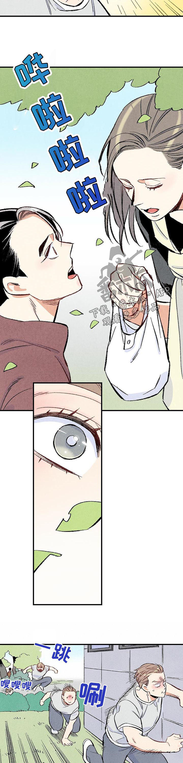 完美伴侣漫画,第36章：美人4图