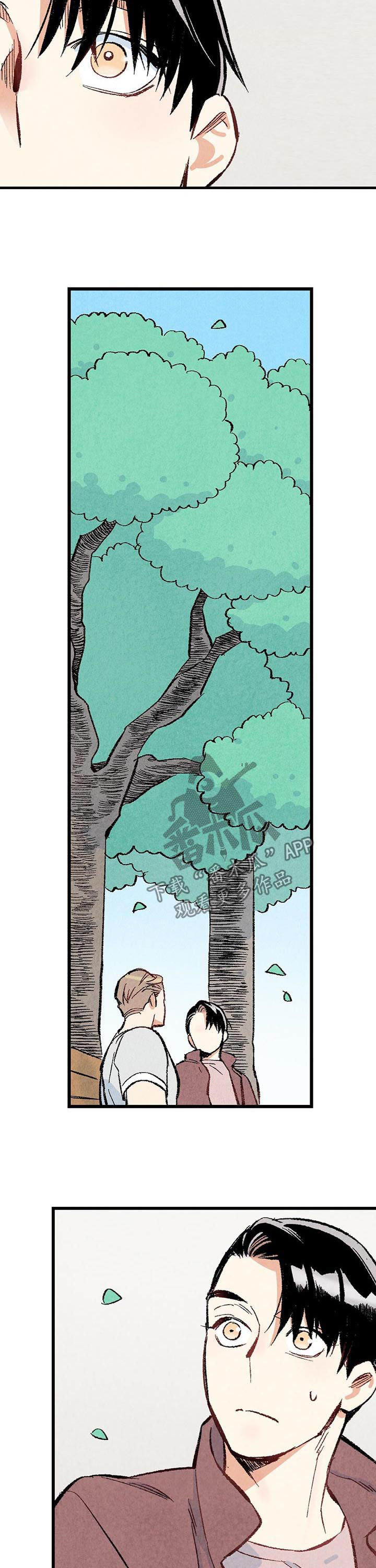 完美伴侣漫画,第42章：我会很轻的2图