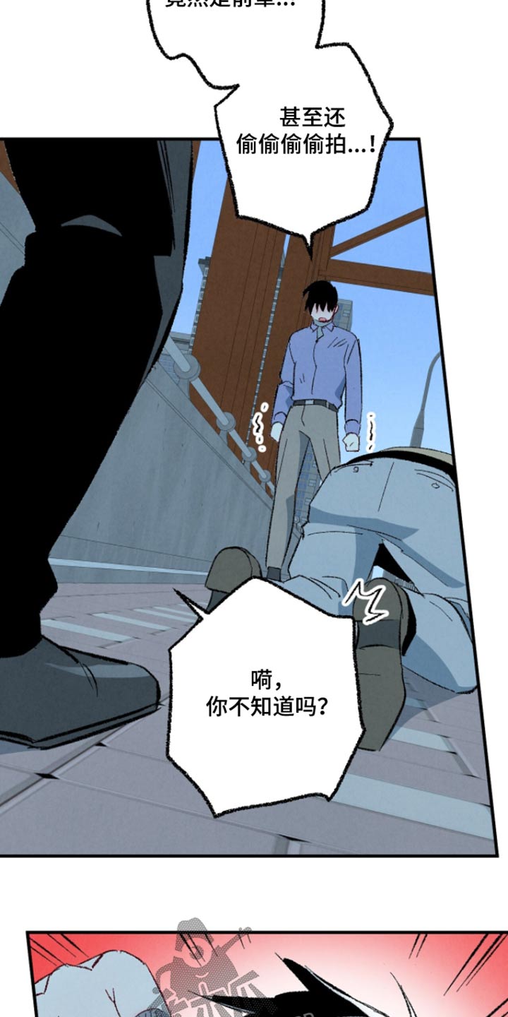 完美伴侣漫画,第164章：【第二季】冷静一点3图