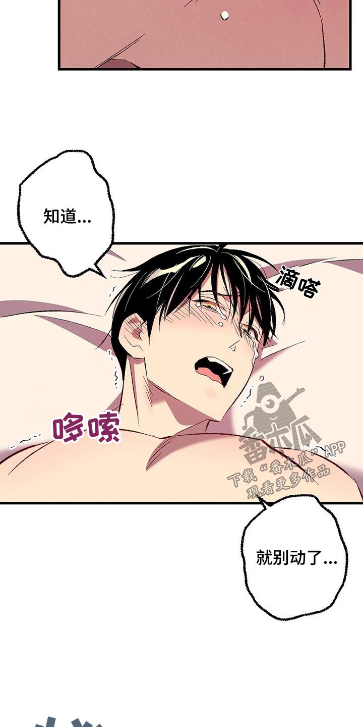 完美伴侣漫画,第147章：【第二季】阻止2图