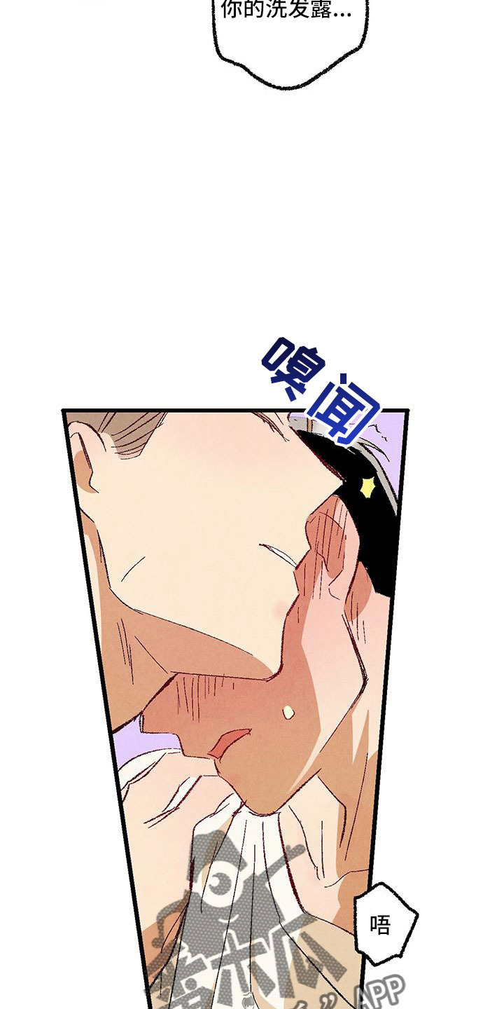 完美伴侣漫画,第102章：【第二季】诱人1图