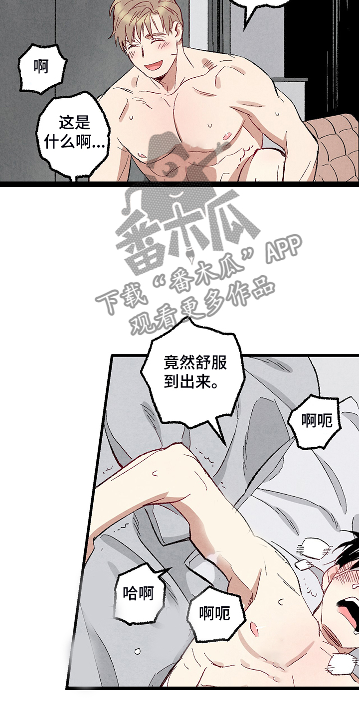 完美伴侣漫画,第76章：【第二季】像受伤的猫3图