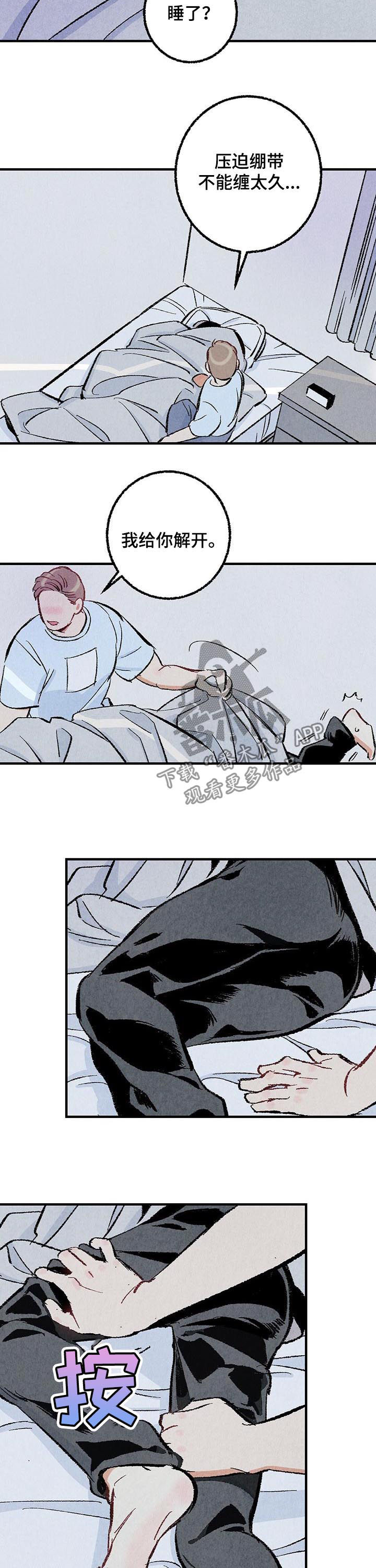 完美伴侣漫画,第31章：都是你的错3图