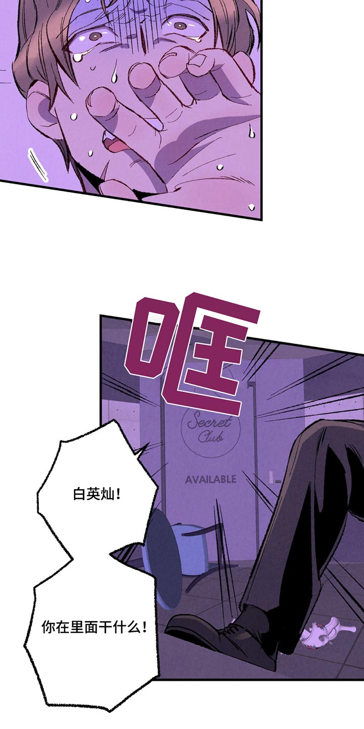 完美伴侣漫画,第161章：【第二季】指责5图