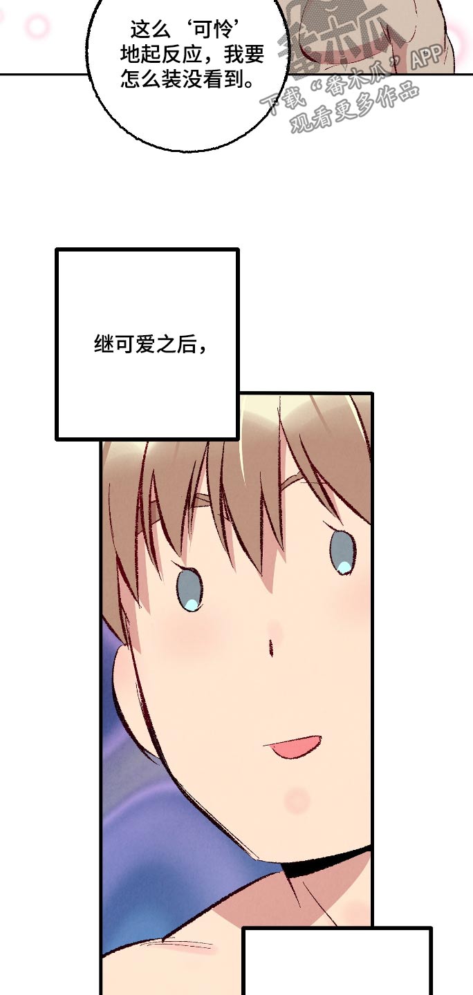 完美伴侣漫画,第169章：【第二季】可怜5图