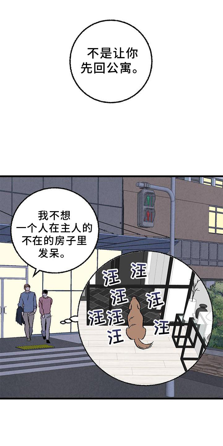 完美伴侣漫画,第112章：【第二季】疲惫1图