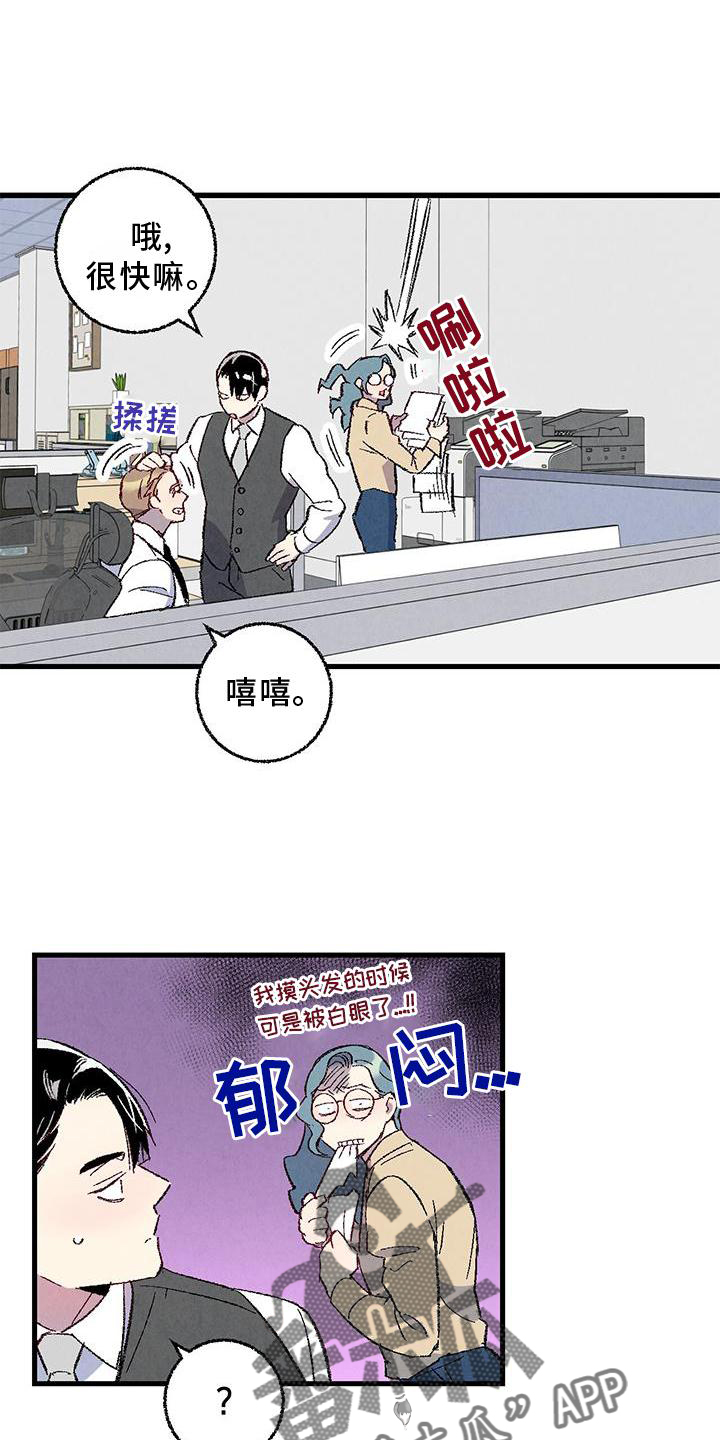 完美伴侣漫画,第114章：【第二季】猫猫5图