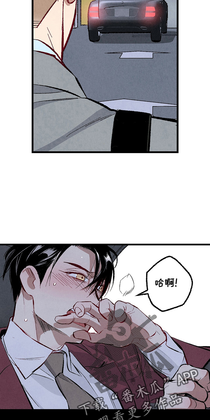 完美伴侣漫画,第96章：【第二季】吓到2图