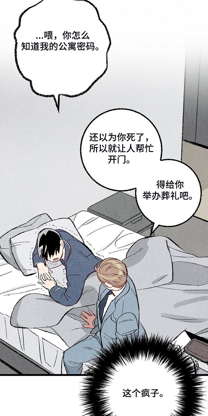 完美伴侣漫画,第81章：【第二季】不一般的病毒4图