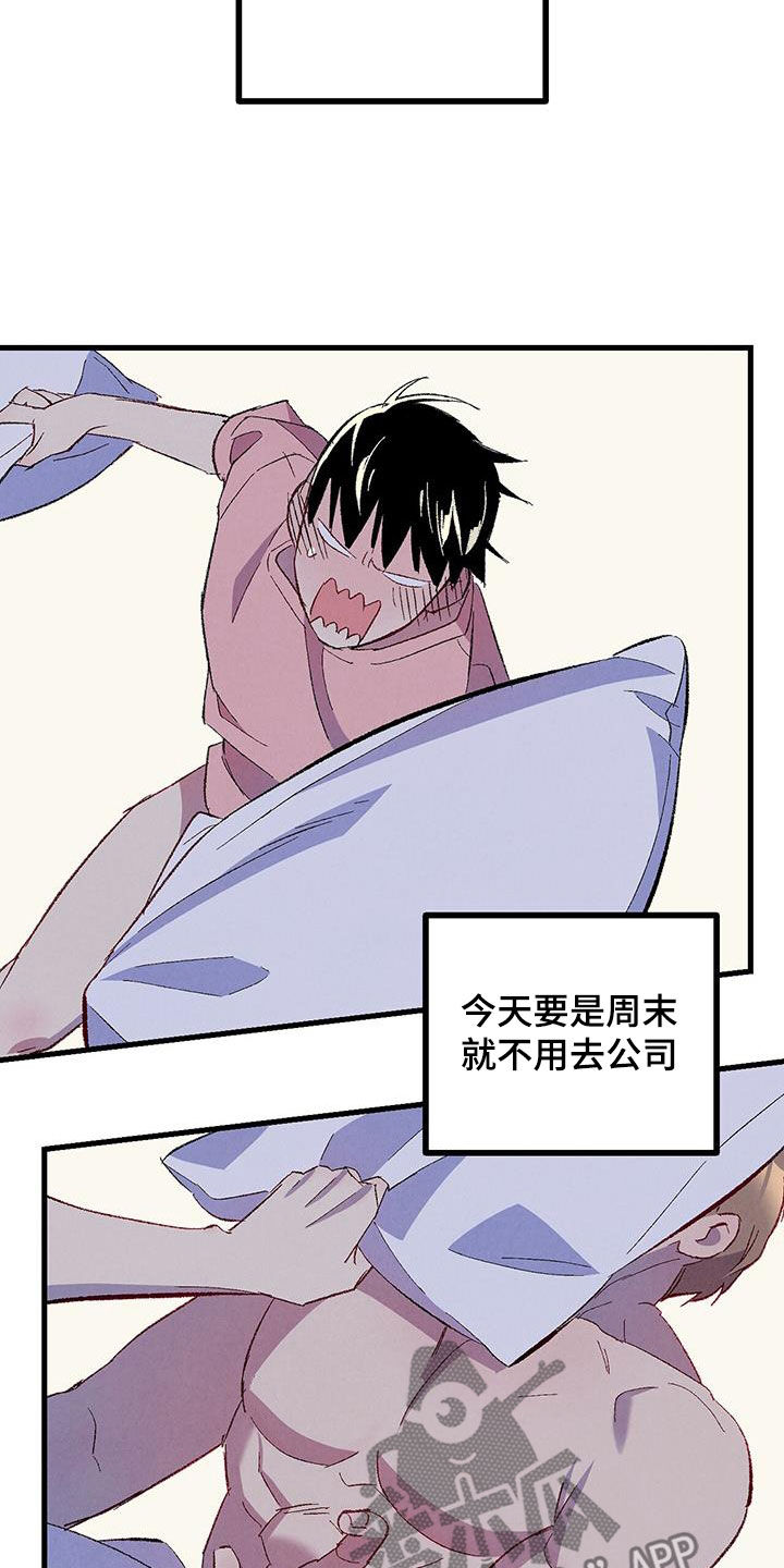 完美伴侣漫画,第137章：【第二季】星期五1图