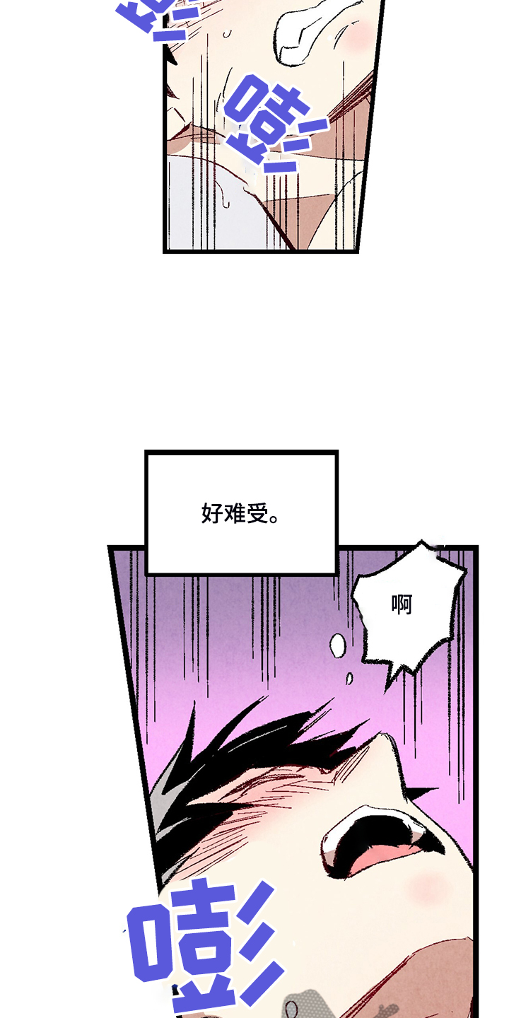 完美伴侣漫画,第76章：【第二季】像受伤的猫1图