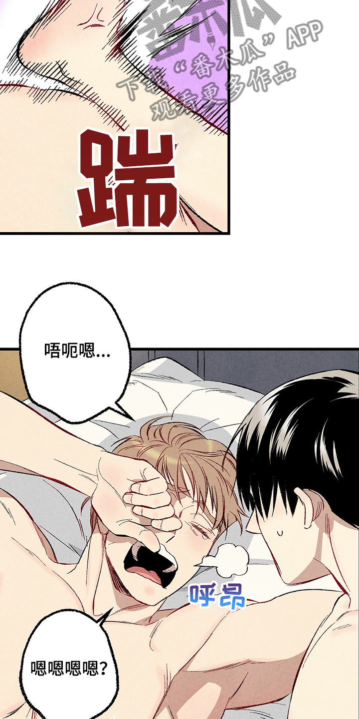 完美伴侣漫画,第61章：【第二季】我真的跟他2图