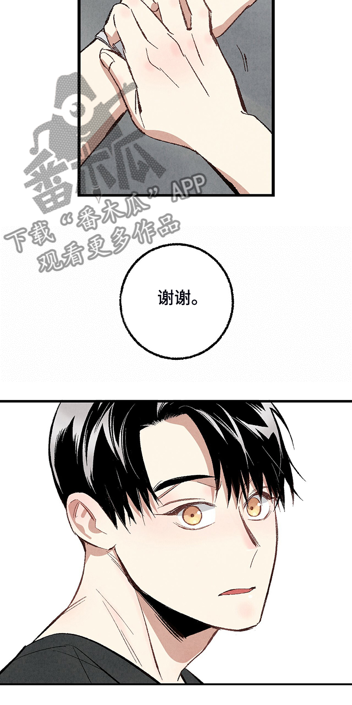完美伴侣漫画,第72章：【第二季】睡得好可怜1图