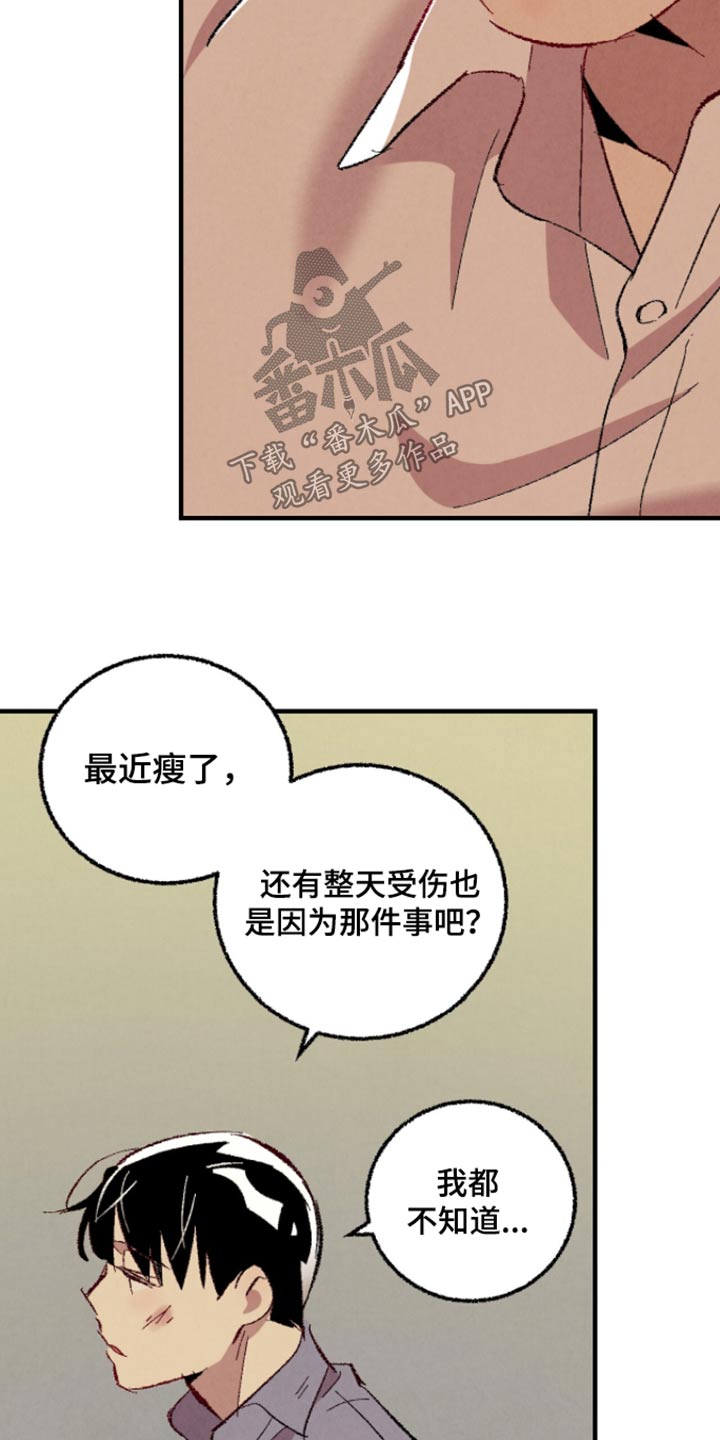 完美伴侣漫画,第163章：【第二季】确信2图