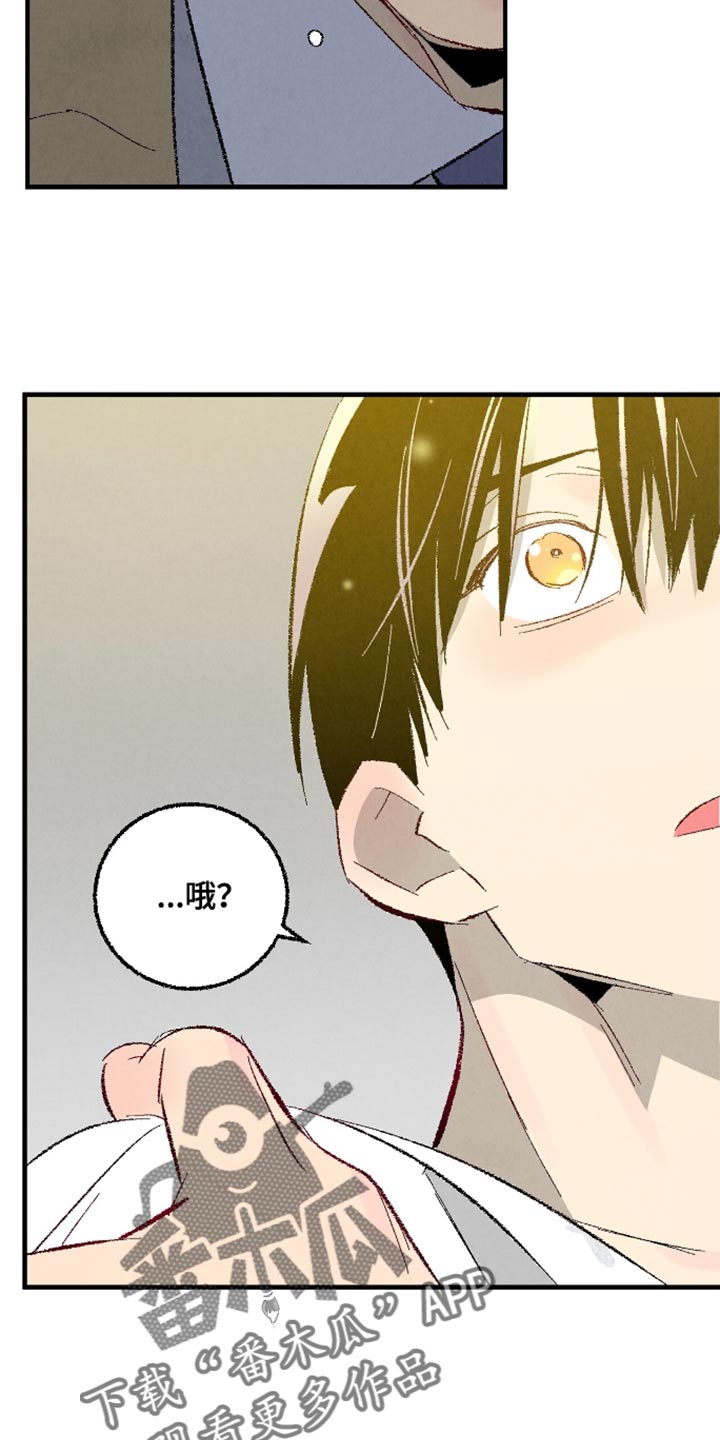 完美伴侣漫画,第172章：【第二季】我喜欢你1图