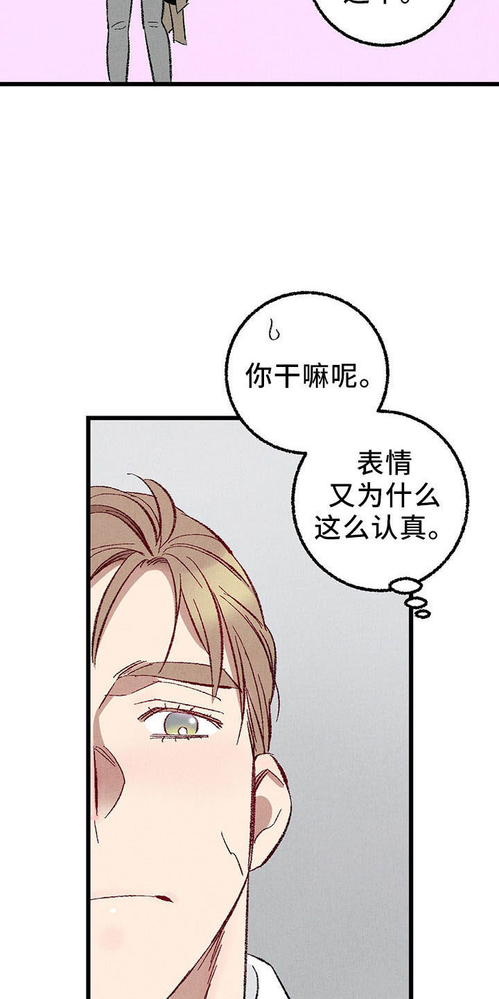 完美伴侣漫画,第99章：【第二季】捉弄人3图