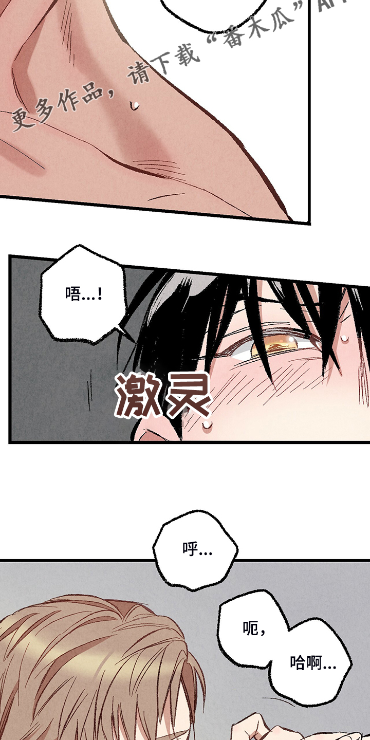 完美伴侣漫画,第75章：【第二季】我才刚开始2图