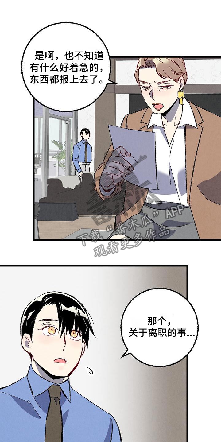 完美伴侣漫画,第145章：【第二季】不会离职5图