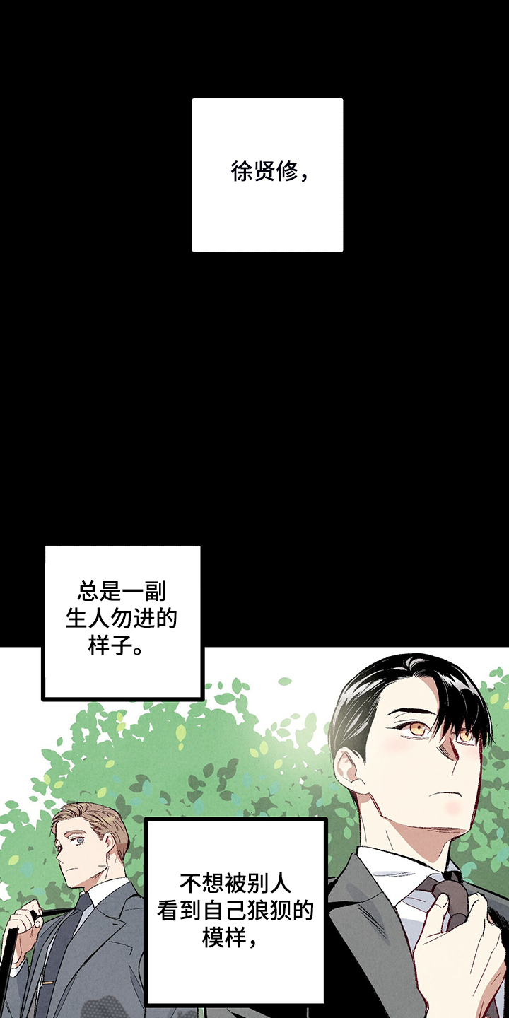完美伴侣漫画,第76章：【第二季】像受伤的猫5图