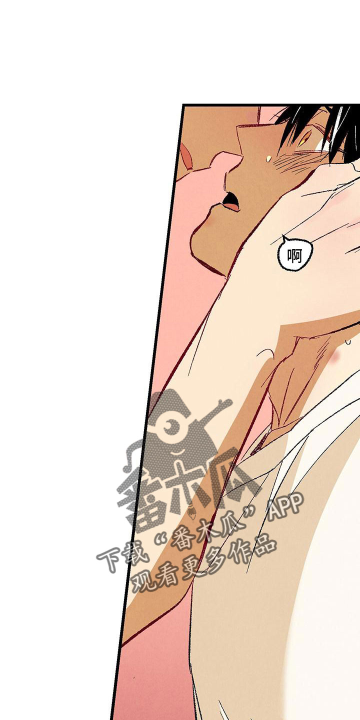 完美伴侣漫画,第104章：【第二季】还没结束4图