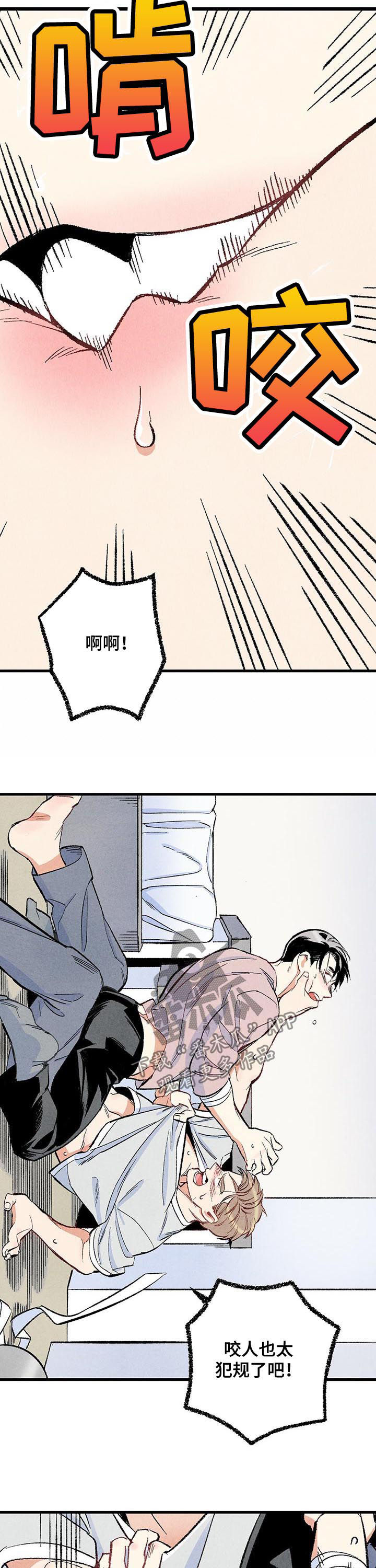 完美伴侣漫画,第46章：较量4图