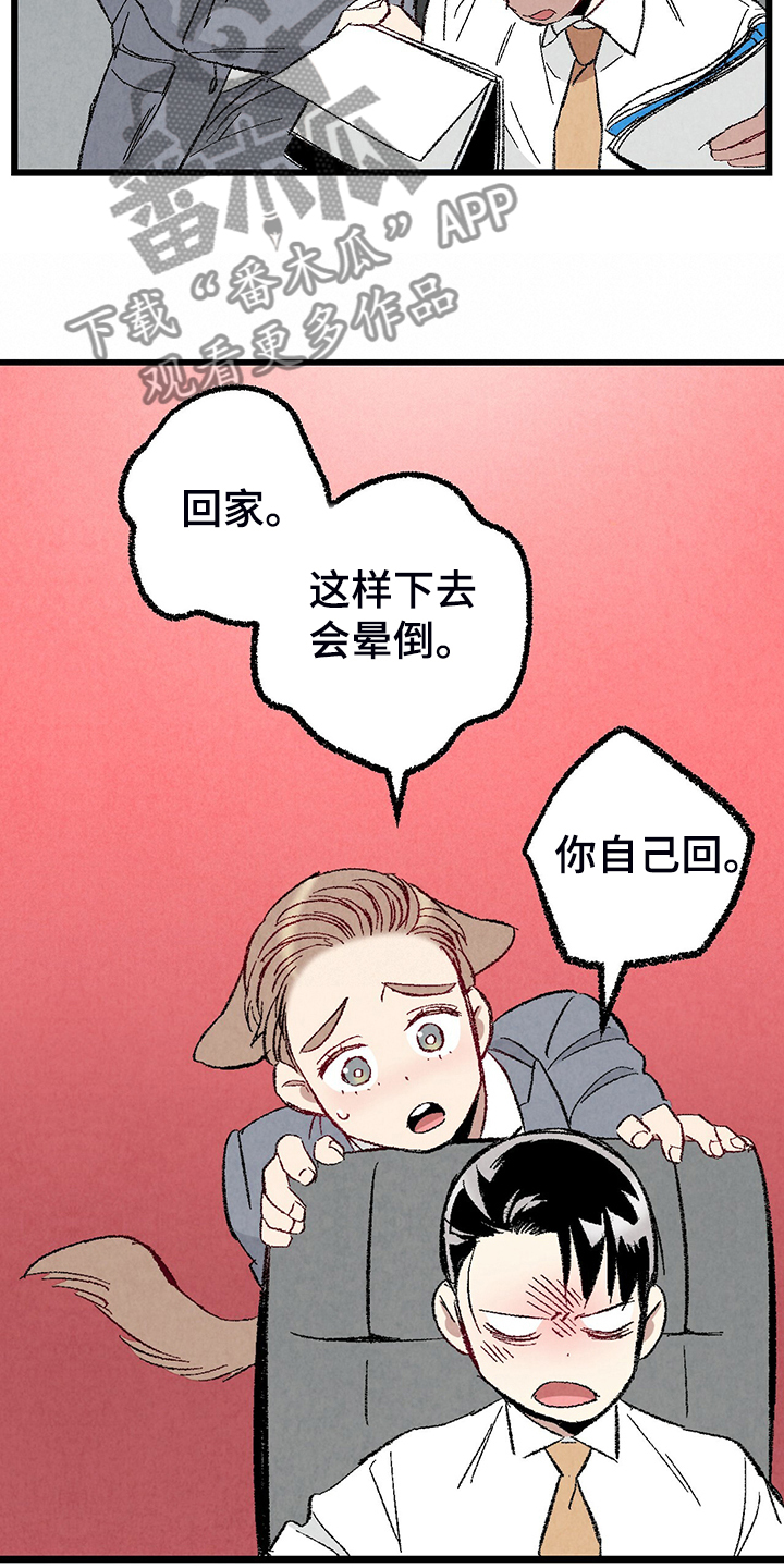 完美伴侣漫画,第80章：【第二季】查到了3图