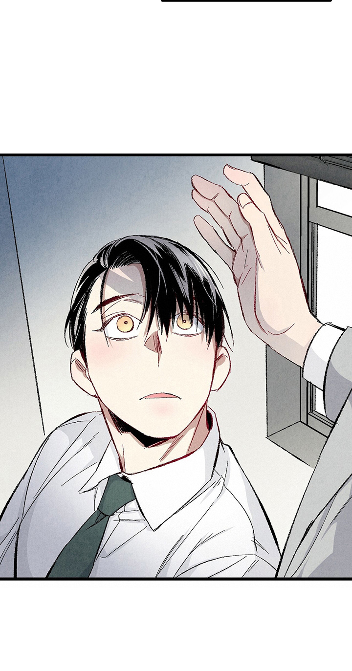 完美伴侣漫画,第89章：【第二季】刺眼3图