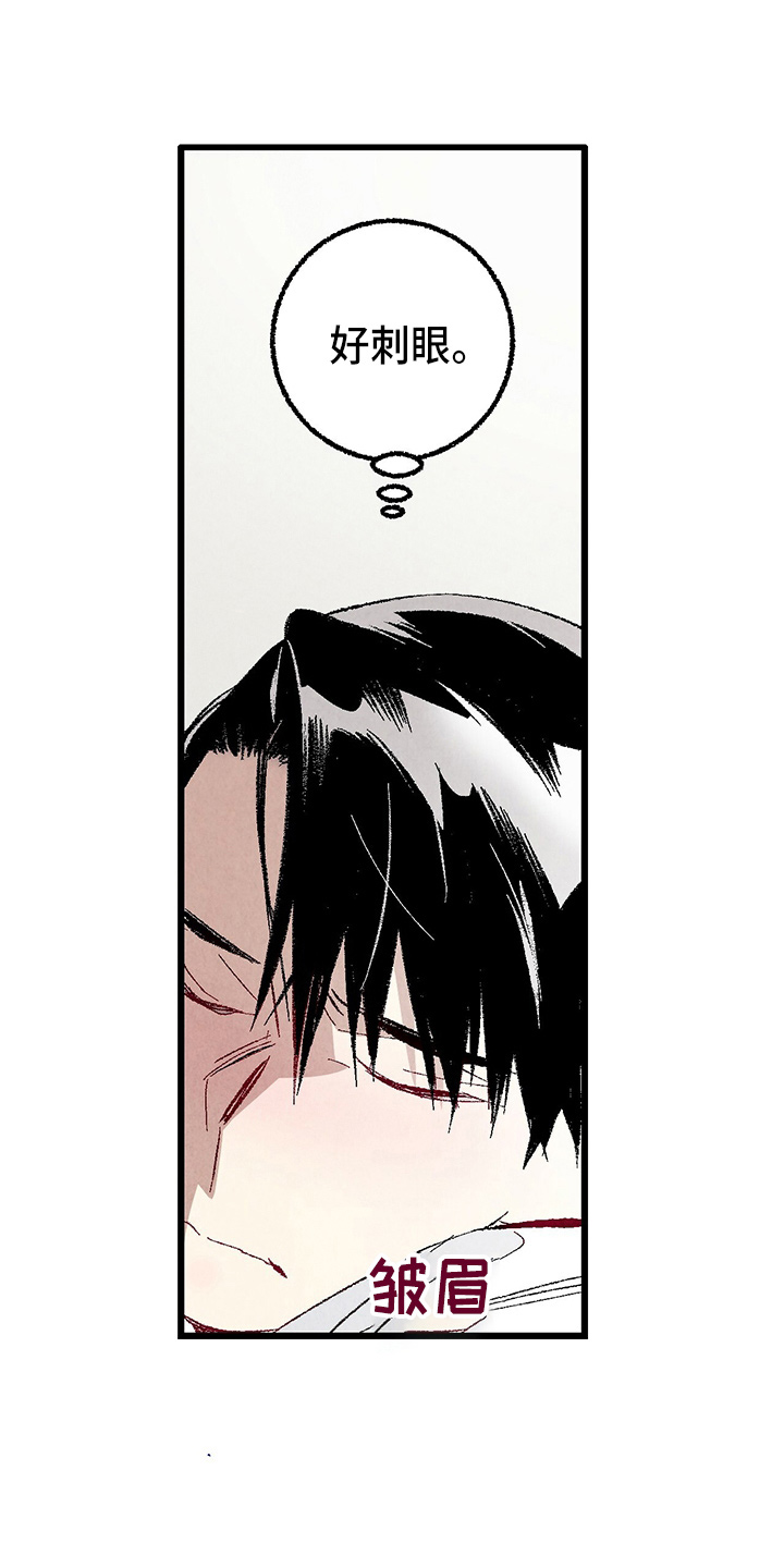 完美伴侣漫画,第89章：【第二季】刺眼1图