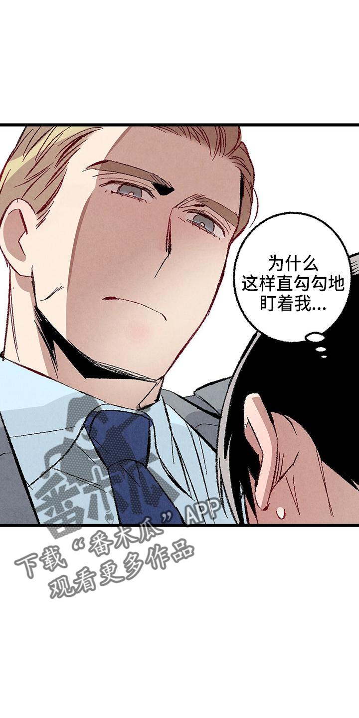 完美伴侣漫画,第96章：【第二季】吓到2图