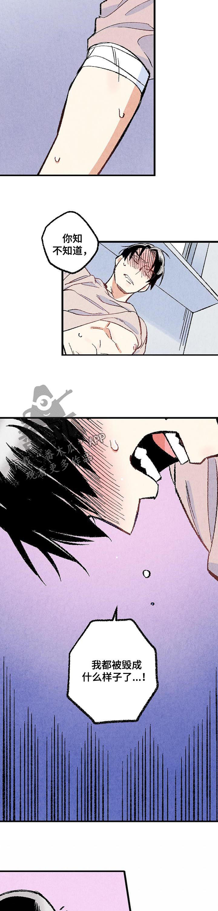 完美伴侣漫画,第45章：是害怕4图