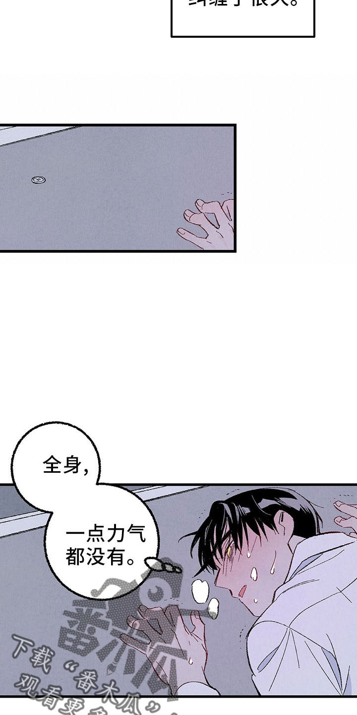 完美伴侣漫画,第99章：【第二季】捉弄人4图