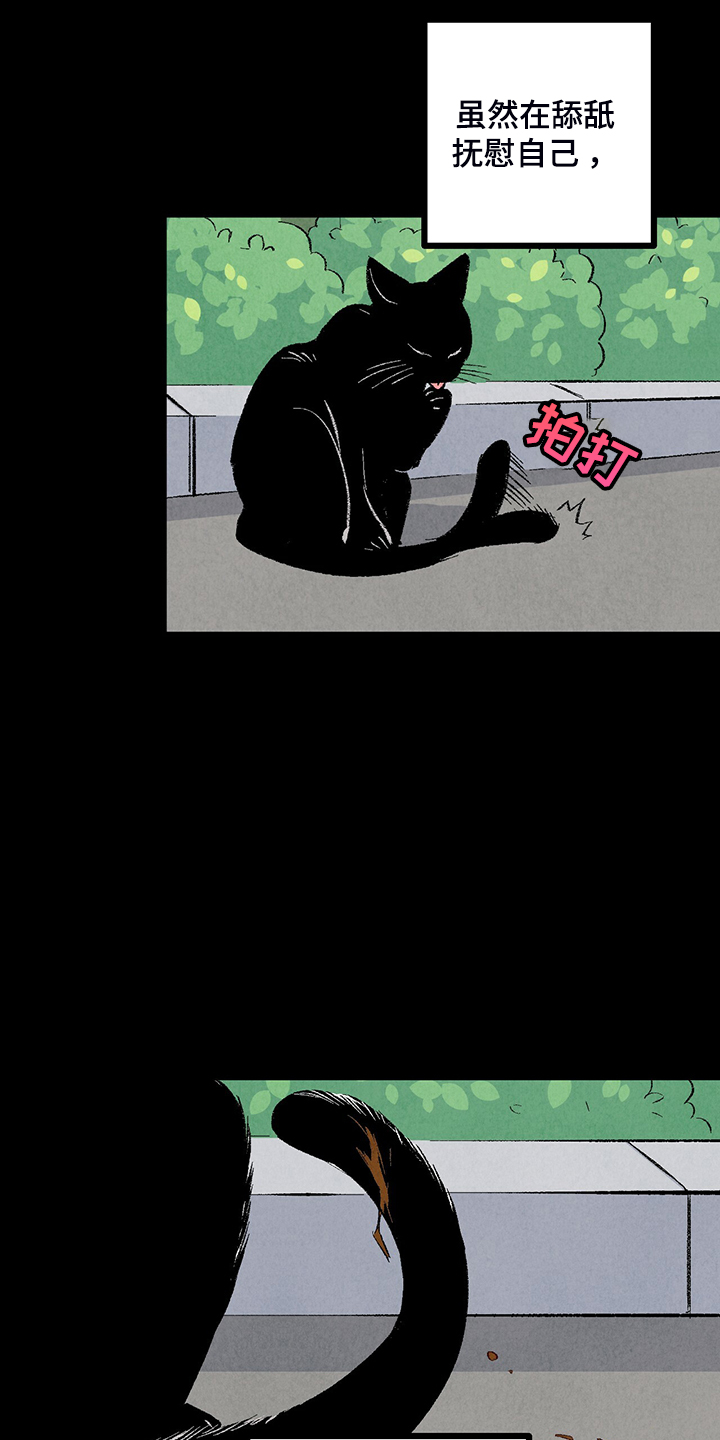 完美伴侣漫画,第76章：【第二季】像受伤的猫2图