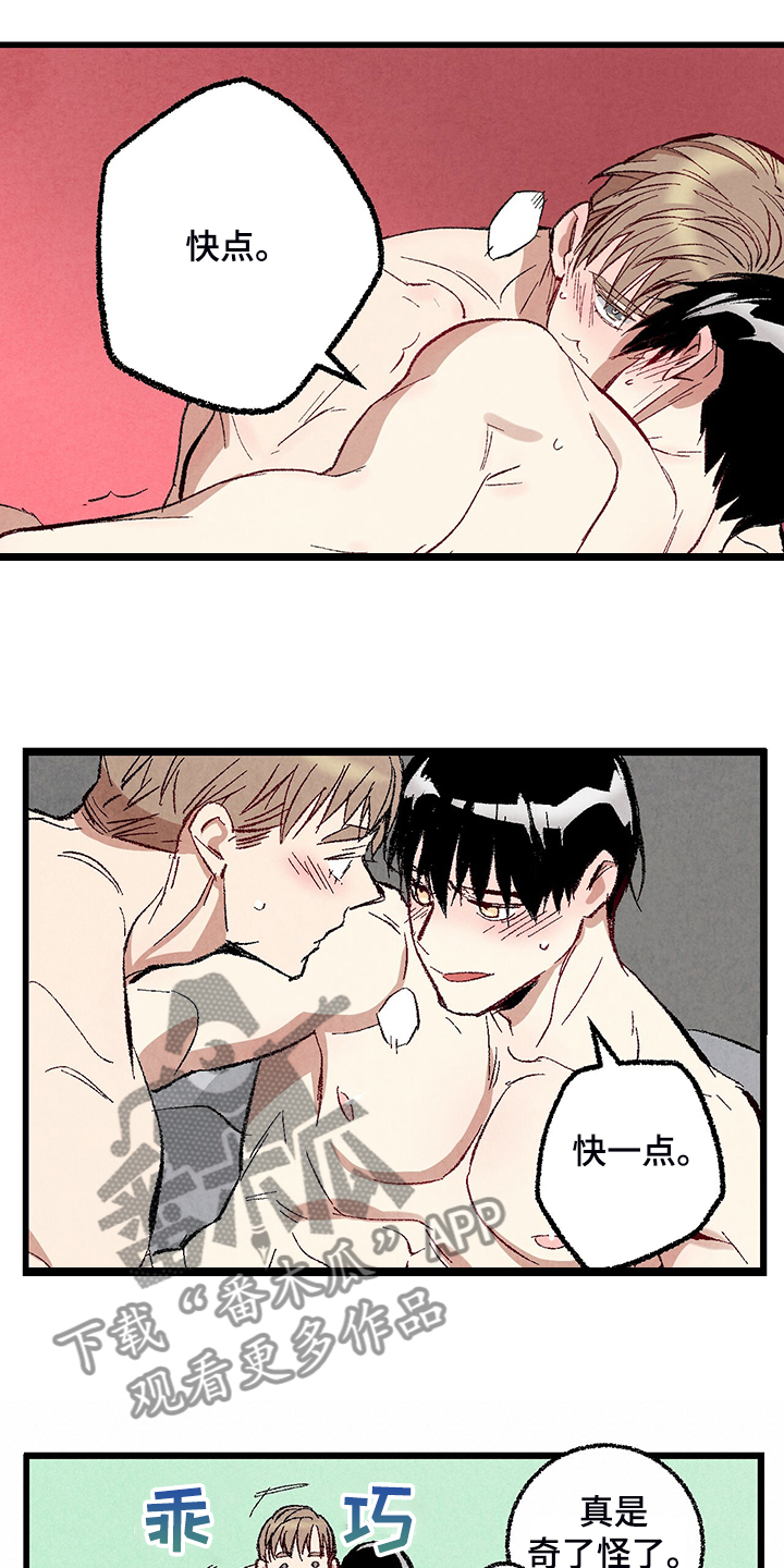 完美伴侣漫画,第74章：【第二季】奇怪的喜好2图