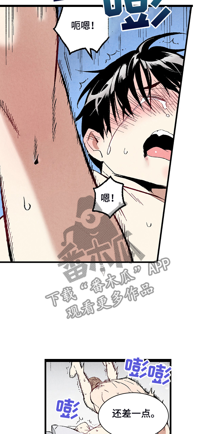 完美伴侣漫画,第76章：【第二季】像受伤的猫3图