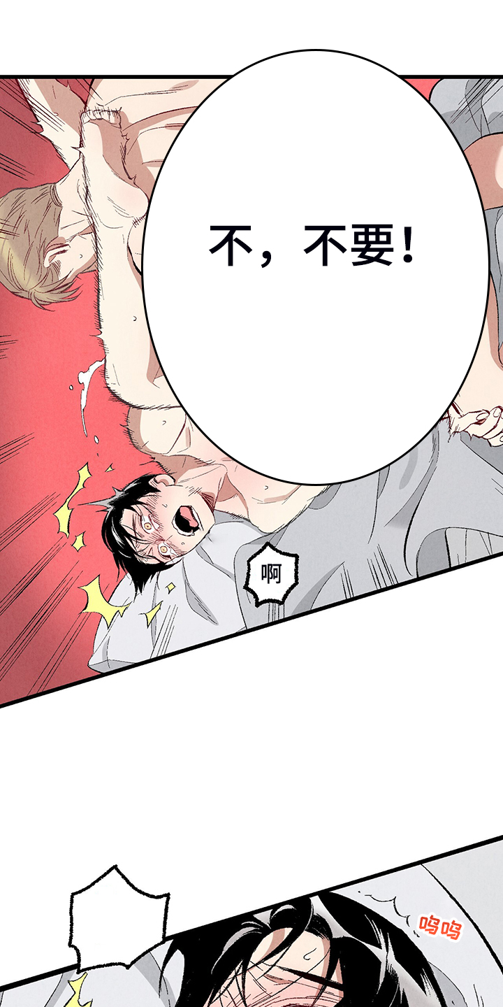 完美伴侣漫画,第76章：【第二季】像受伤的猫1图