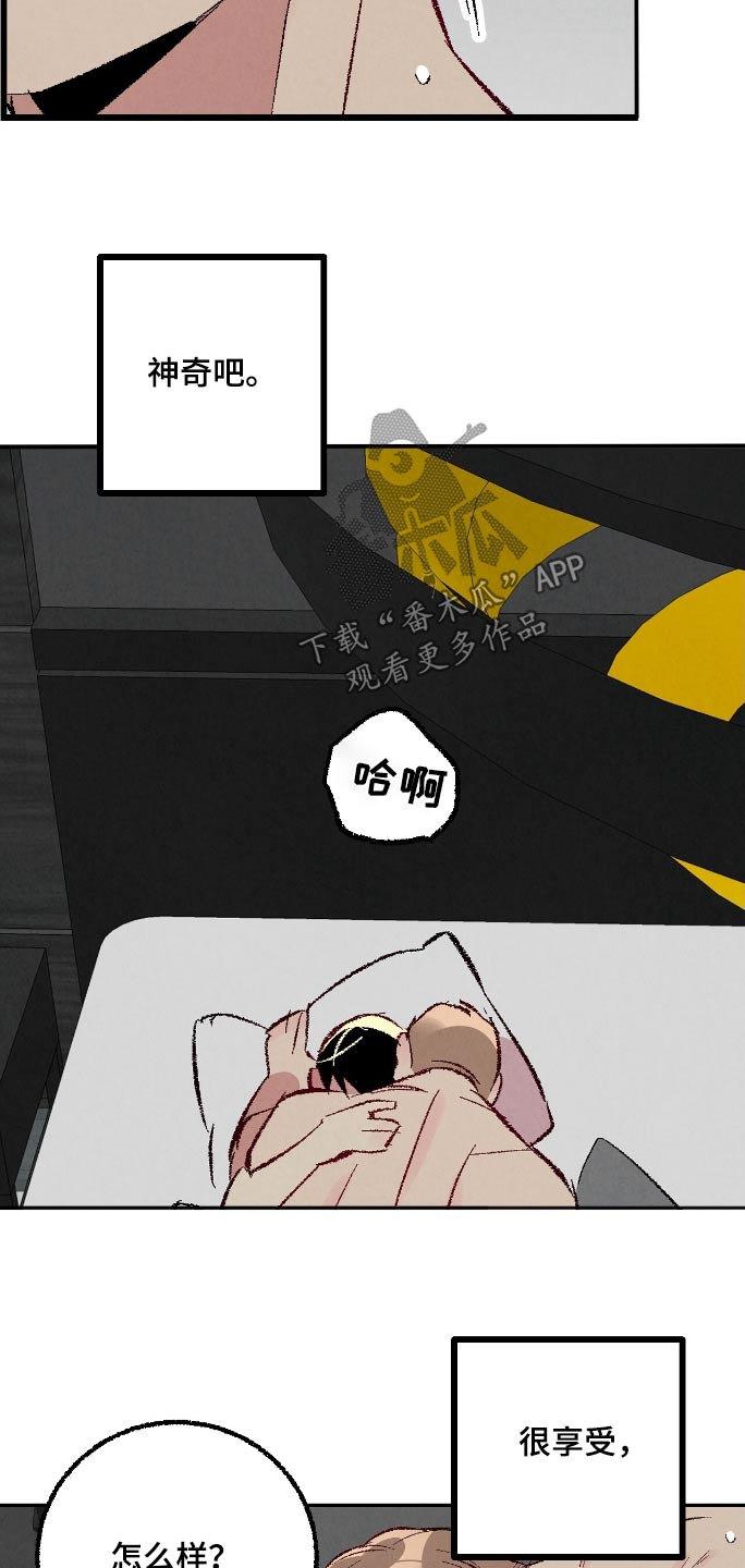 完美伴侣漫画,第169章：【第二季】可怜2图