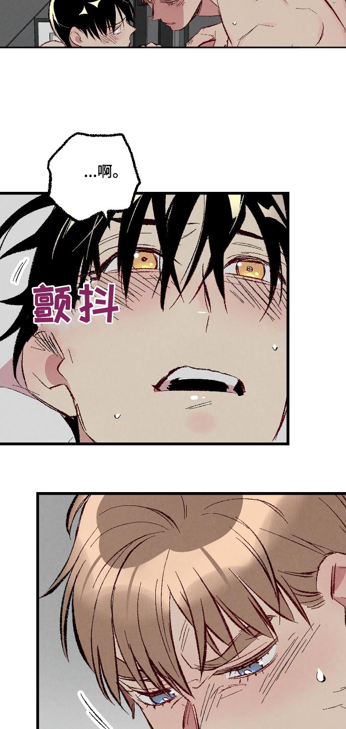 完美伴侣漫画,第169章：【第二季】可怜4图