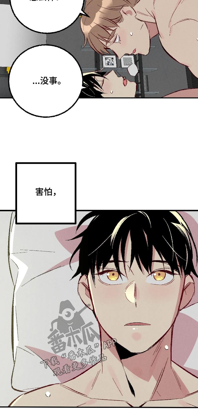 完美伴侣漫画,第169章：【第二季】可怜3图