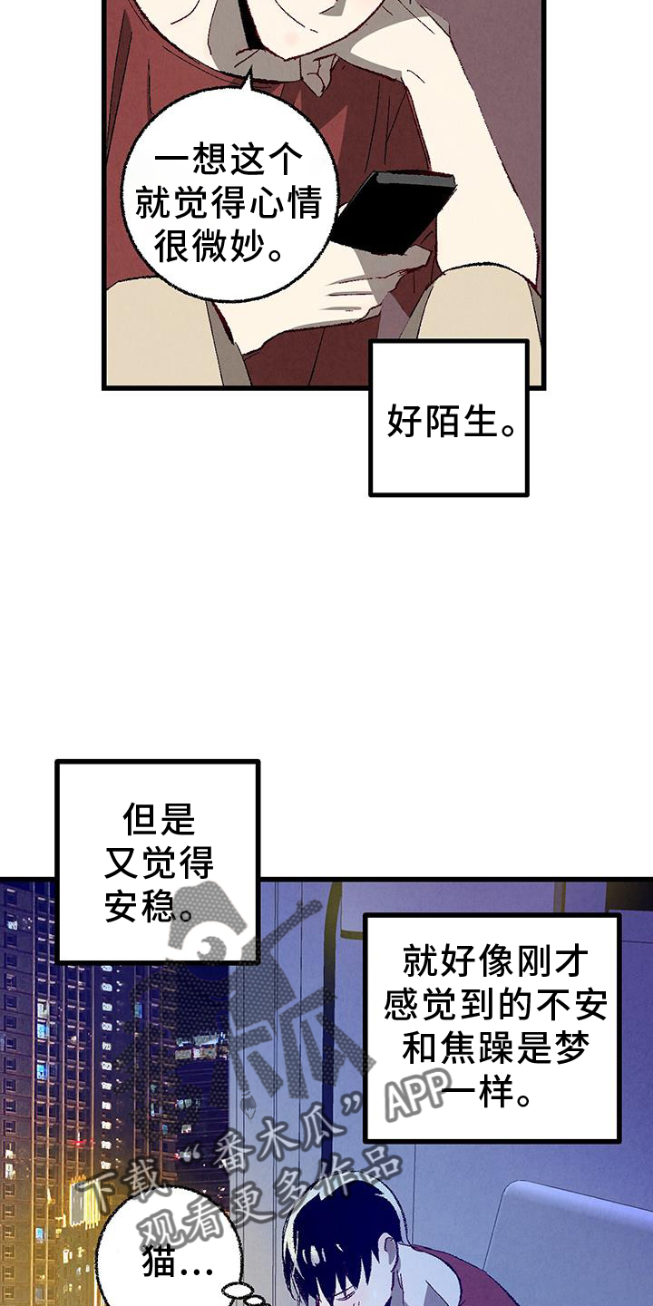 完美伴侣漫画,第134章：【第二季】打赌3图
