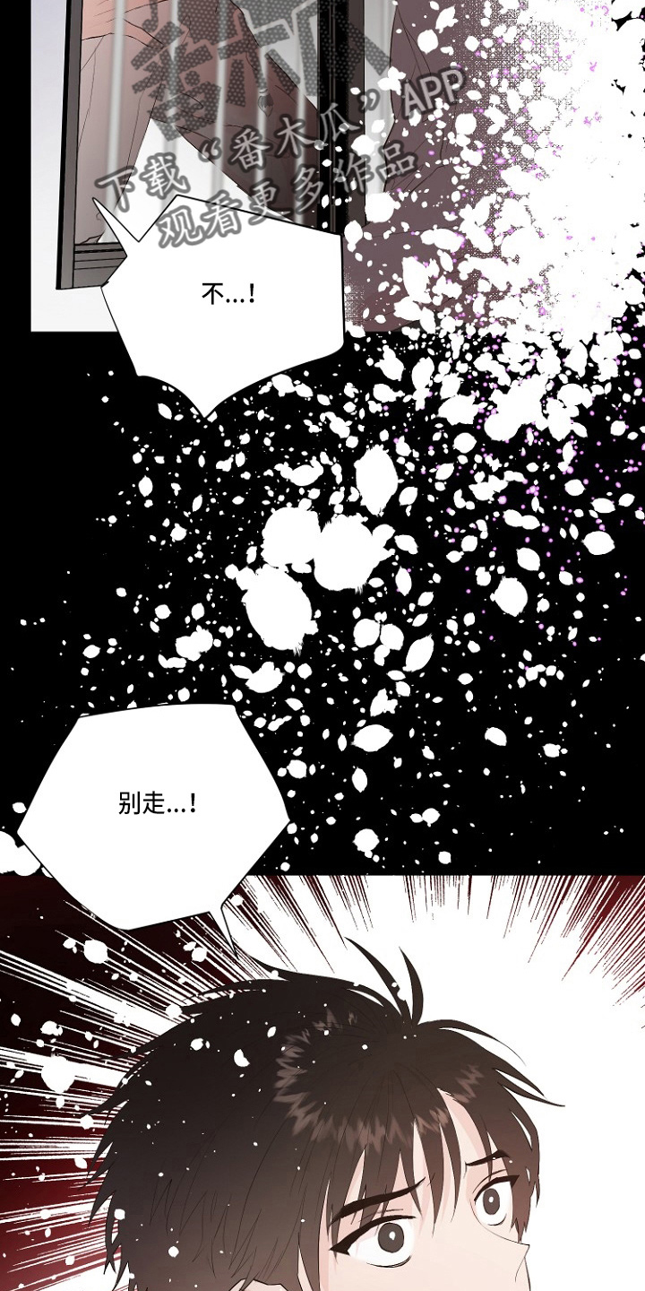 恶魔的独宠甜妻动漫漫画,第31章：恶心1图