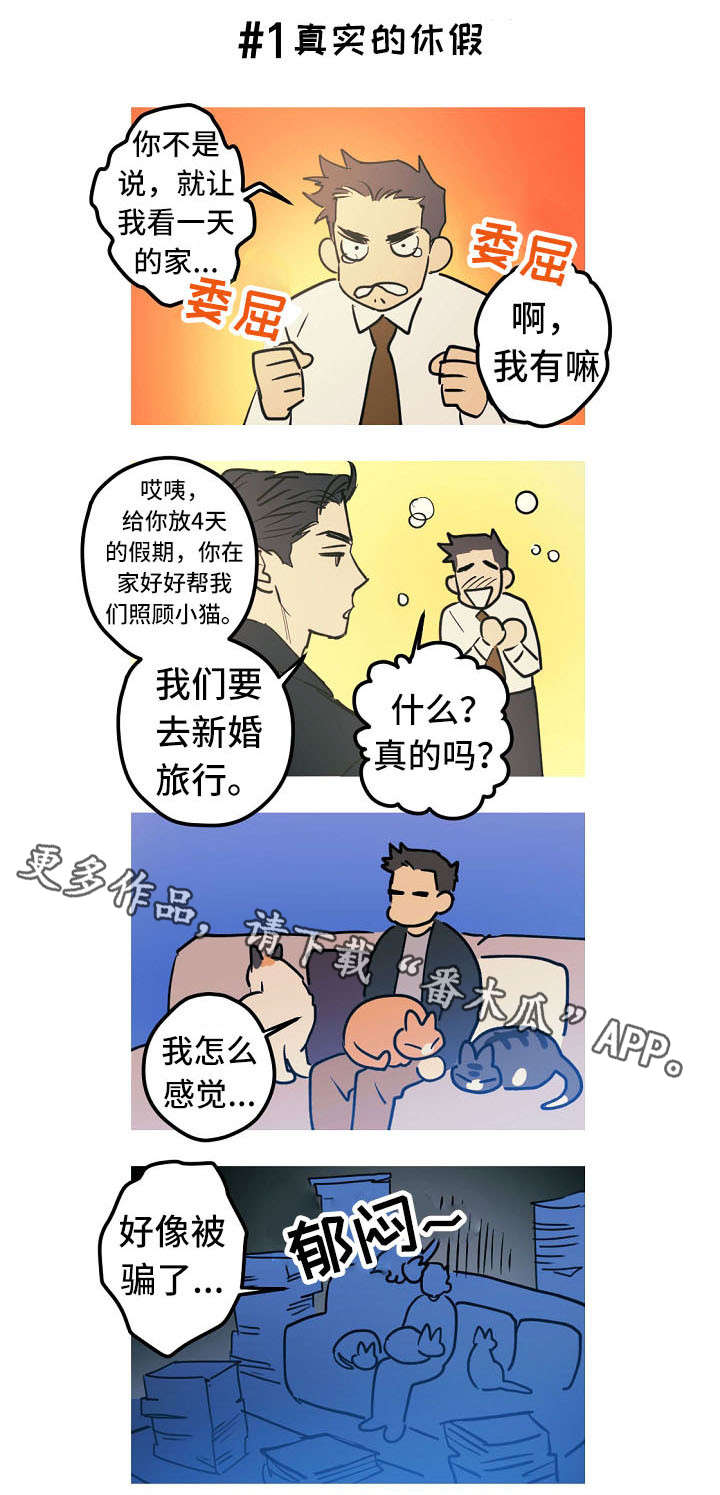 全面霸占漫画,第27章：称呼（完结）1图