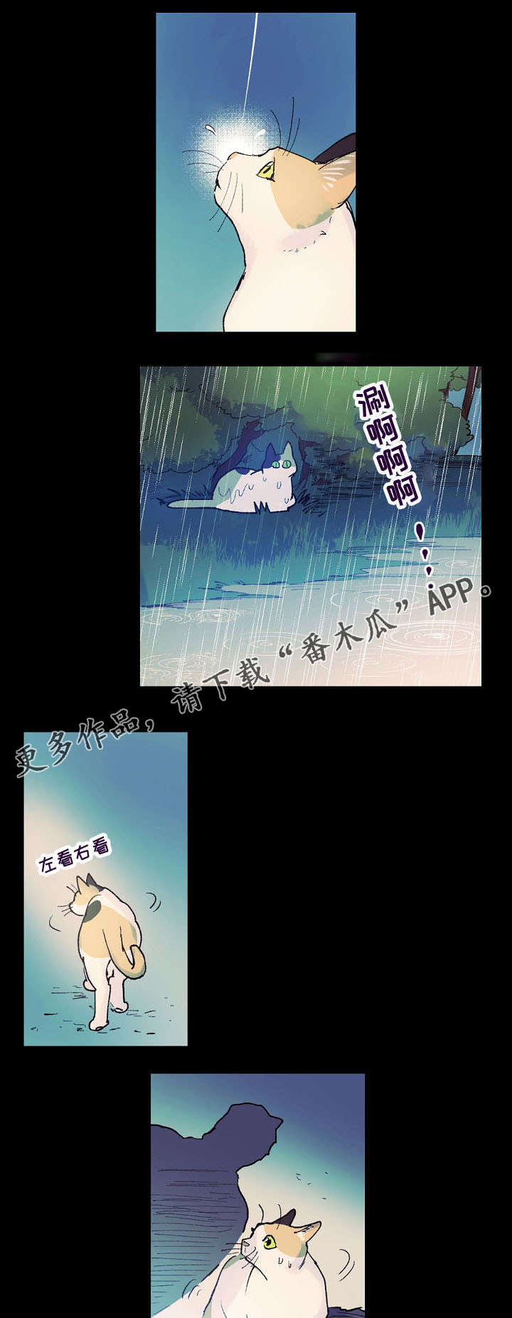全面霸占漫画,第14章：猫咪的梦3图